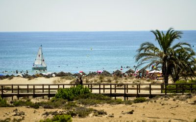 Elche: un oasis en el Mediterráneo