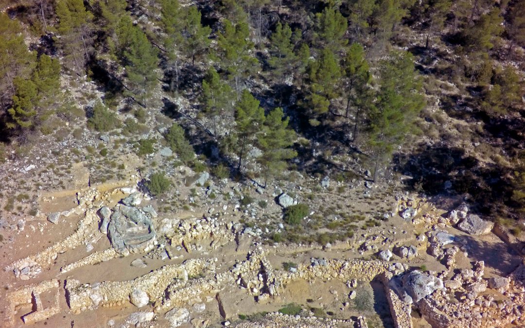 El lagar más antiguo de la Península Ibérica está en Requena
