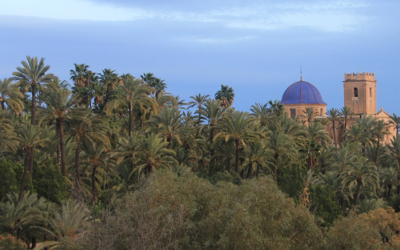 Descubre Elche en su portal de experiencias