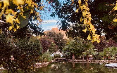 AYORA, FESTIVITIES AND CULTURE