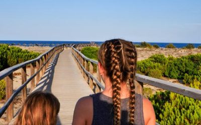 Elche, un oasis para toda la familia