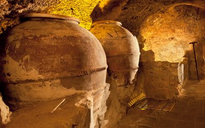 Día Mundial del Enoturismo