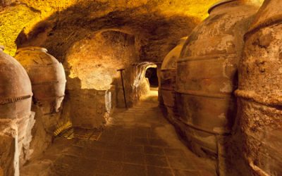 Vino, gastronomía, cultura y naturaleza