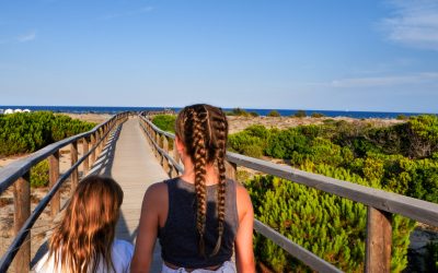 Elche: Un oasis al que escaparse durante todo el año.