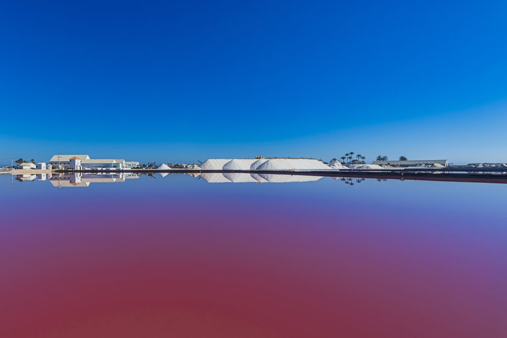 San Pedro del Pinatar despierta tus sentidos. ESMEDITERRANEO