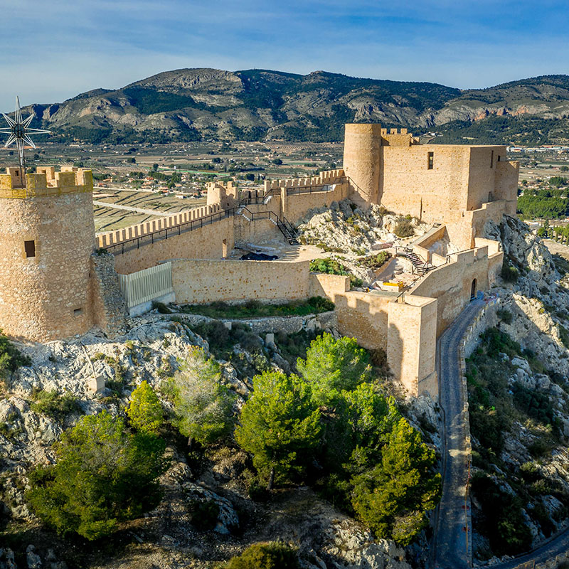 BOTON 800x800 Castalla-es-00 alicante