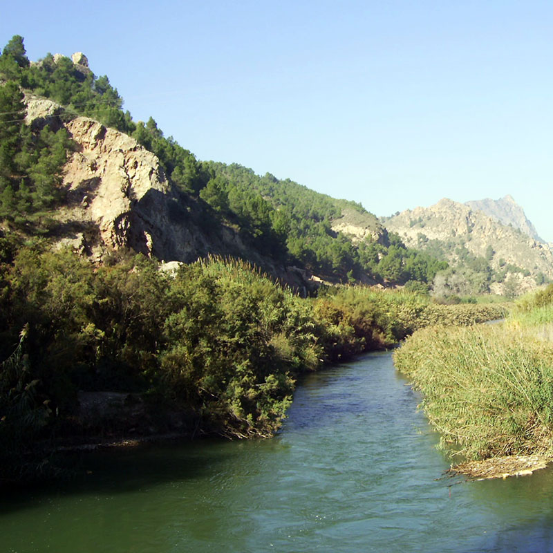 DIGITAL CAMERA region de murcia<br />