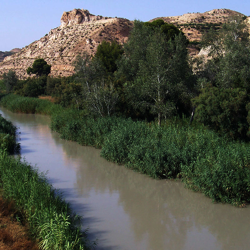 region de murcia<br />
