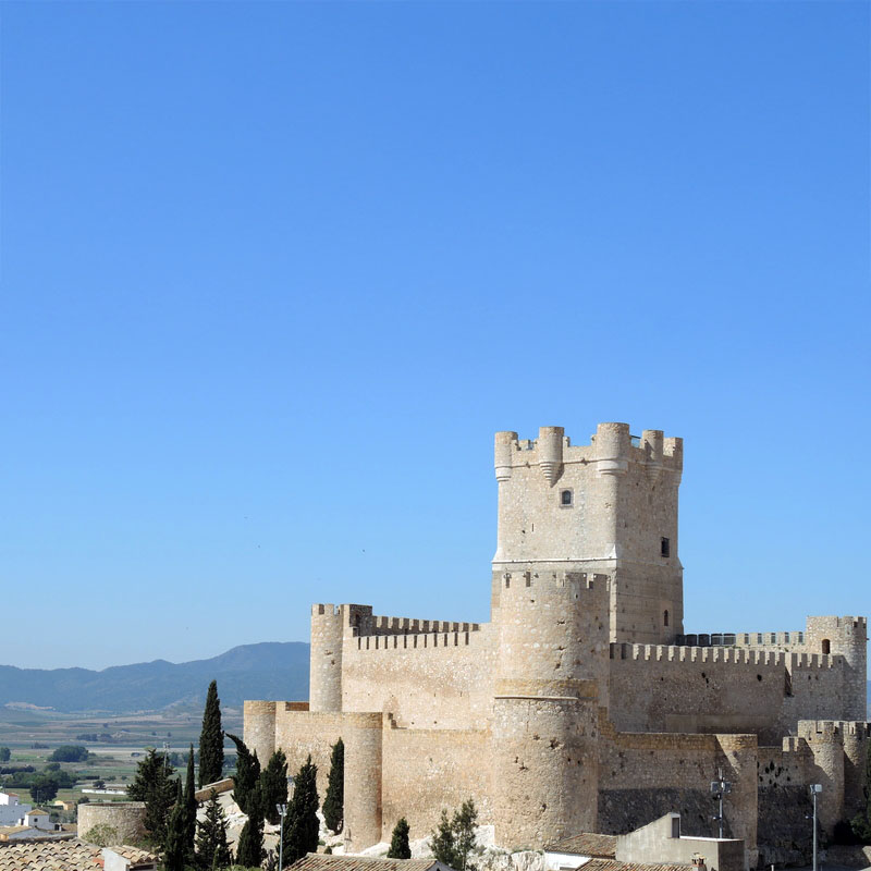 BOTON Villena-es-00 alicante