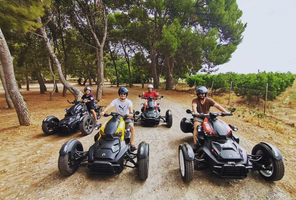 Excursiones on road Castellón