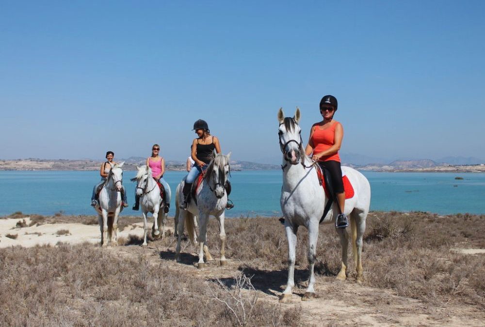 Excursiones a Caballo en Alicante
