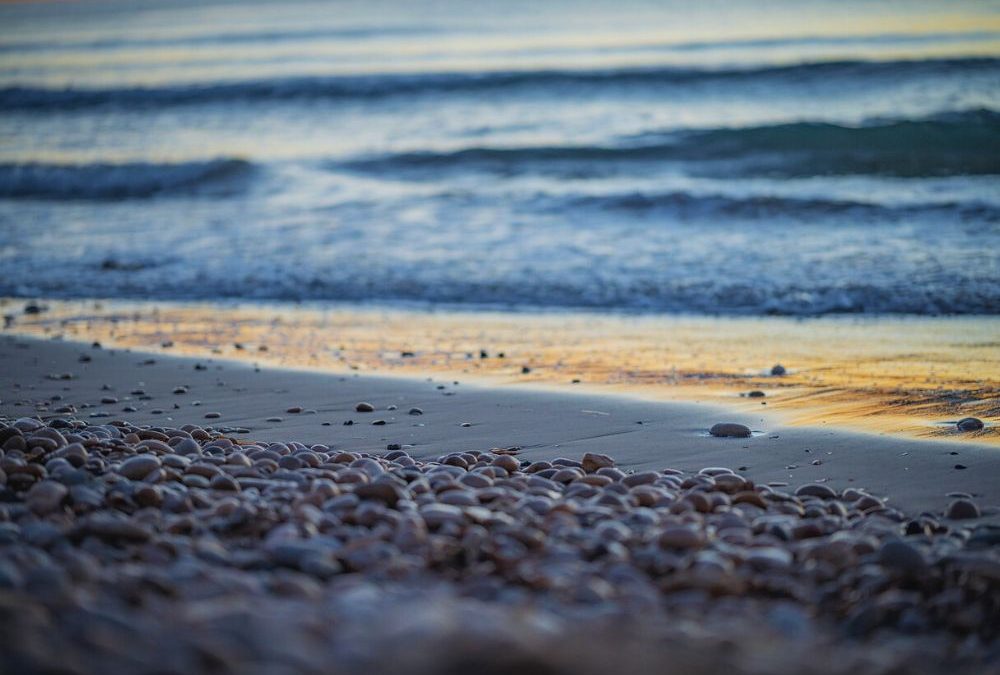 Actividades culturales Castellón