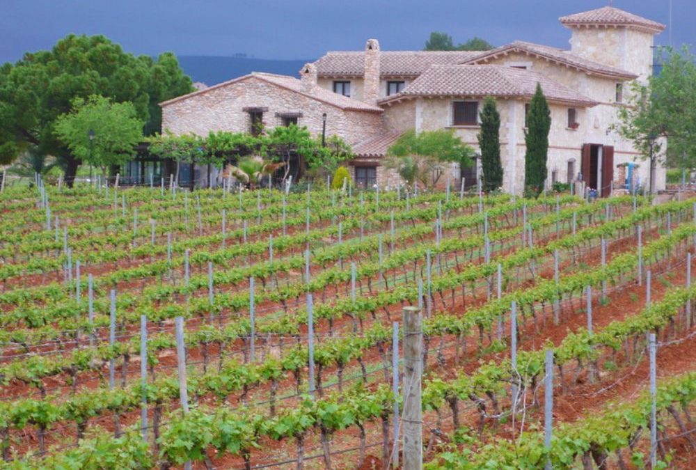 Cata de vinos Castellón