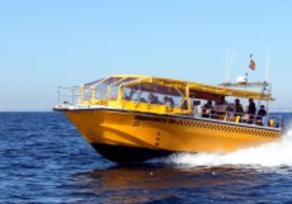 Cómo Llegar a Tabarca desde Elche