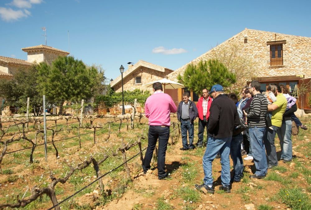 Enoturismo Castellón