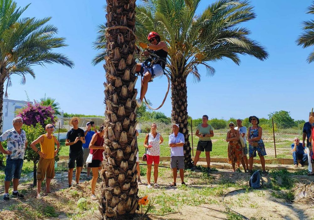 Oficios Tradicionales en Elche