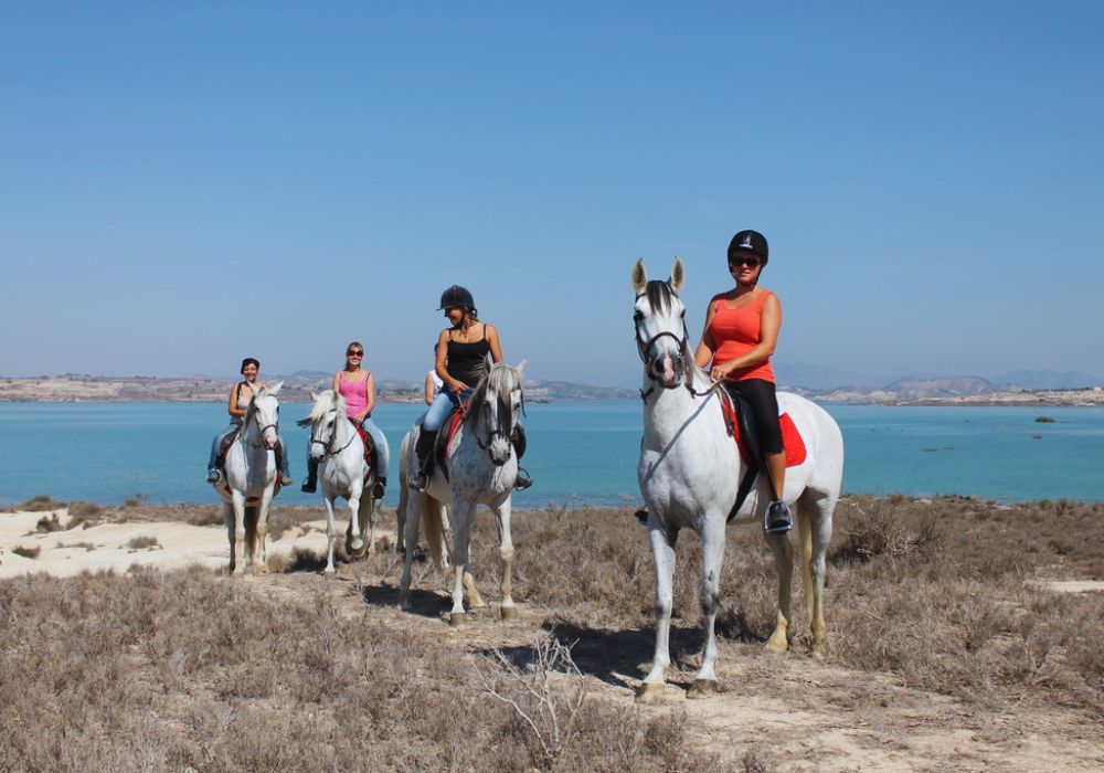 Paseos a Caballo en Orihuela