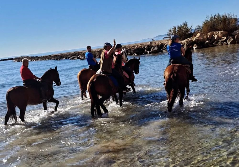 Paseos a Caballo por la Playa en Alcossebre