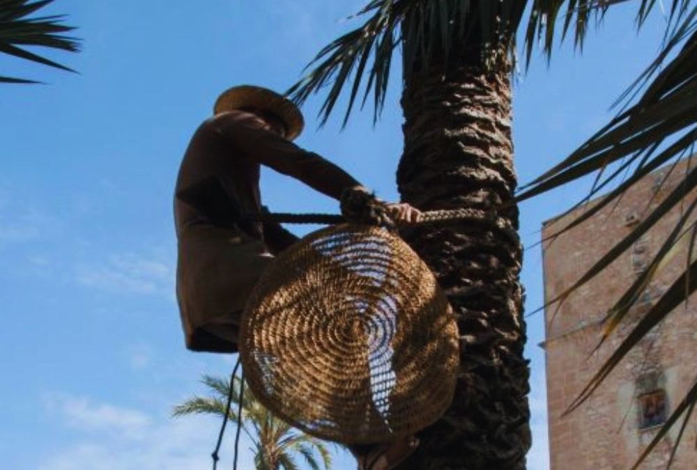 Patrimonio de la Palma en Elche