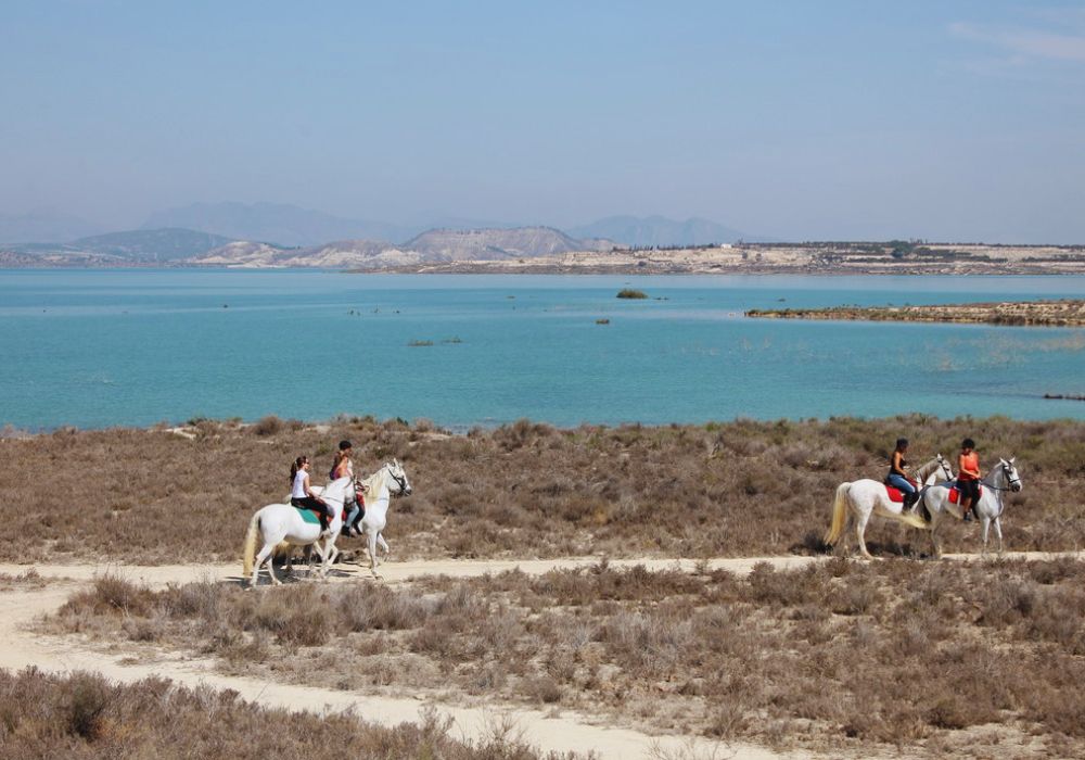 Rutas a Caballo en la Costa Blanca