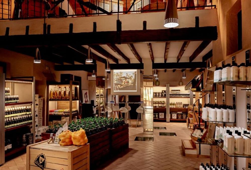 Turismo de Aceite en Elche