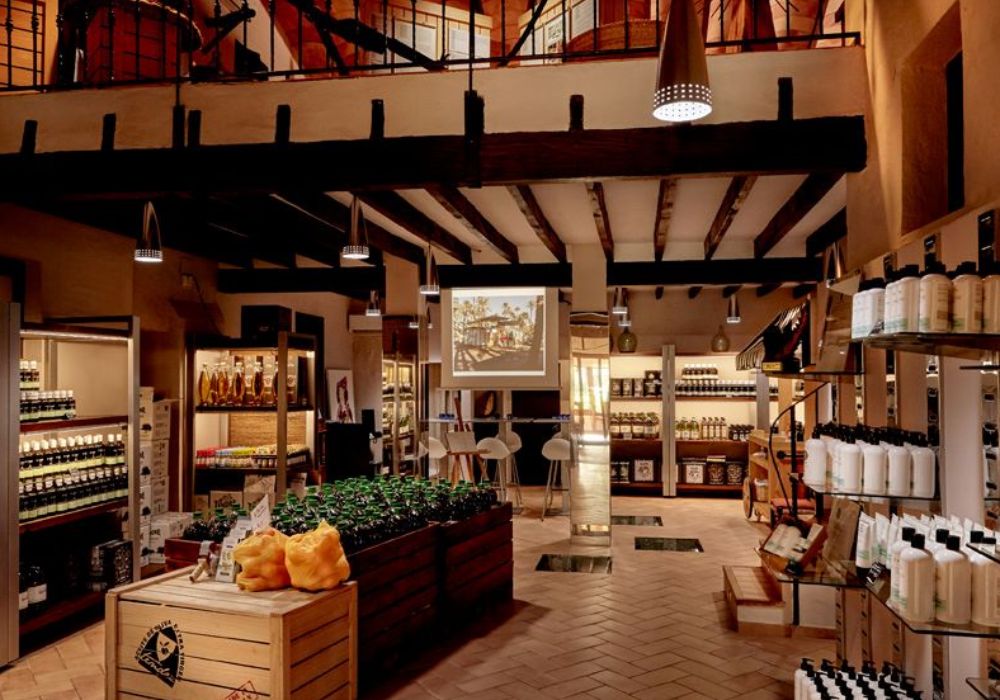 Turismo de Aceite en Elche