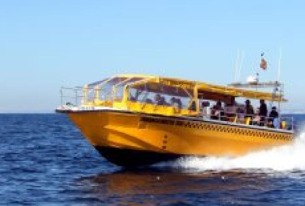 Visitas Exclusivas a Tabarca